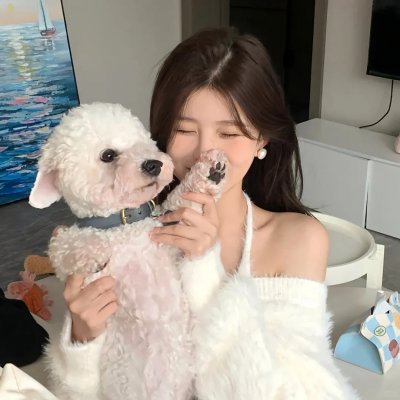 猛虎之家